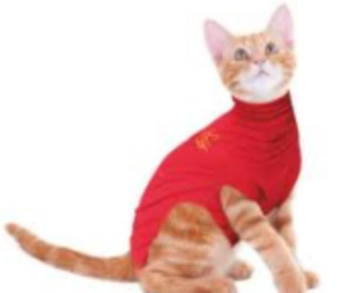 Medical Pet shirt maat XXS Medisch huisdier shirt kat, Dieren en Toebehoren, Katten-accessoires, Nieuw, Ophalen of Verzenden
