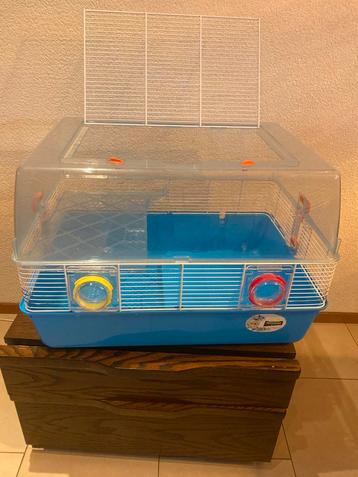Hamsterkooi met zeer veel extra spullen beschikbaar voor biedingen