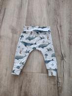 Prachtig lichtblauw broekje met walvissen, zeedieren, 68/74., Broekje, Onb, Ophalen of Verzenden, Onb