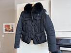 Nieuw! Blauer USA kort zwart dames donsjack XS, Blauer, Zwart, Nieuw, Ophalen of Verzenden