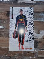 Rijderskaart Max Verstappen 2016, Verzamelen, Automerken, Motoren en Formule 1, Nieuw, Ophalen of Verzenden, Formule 1