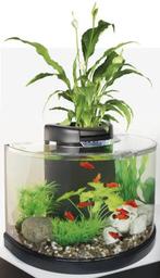 Aquarium 10liter zgan, Ophalen, Zo goed als nieuw, Leeg aquarium