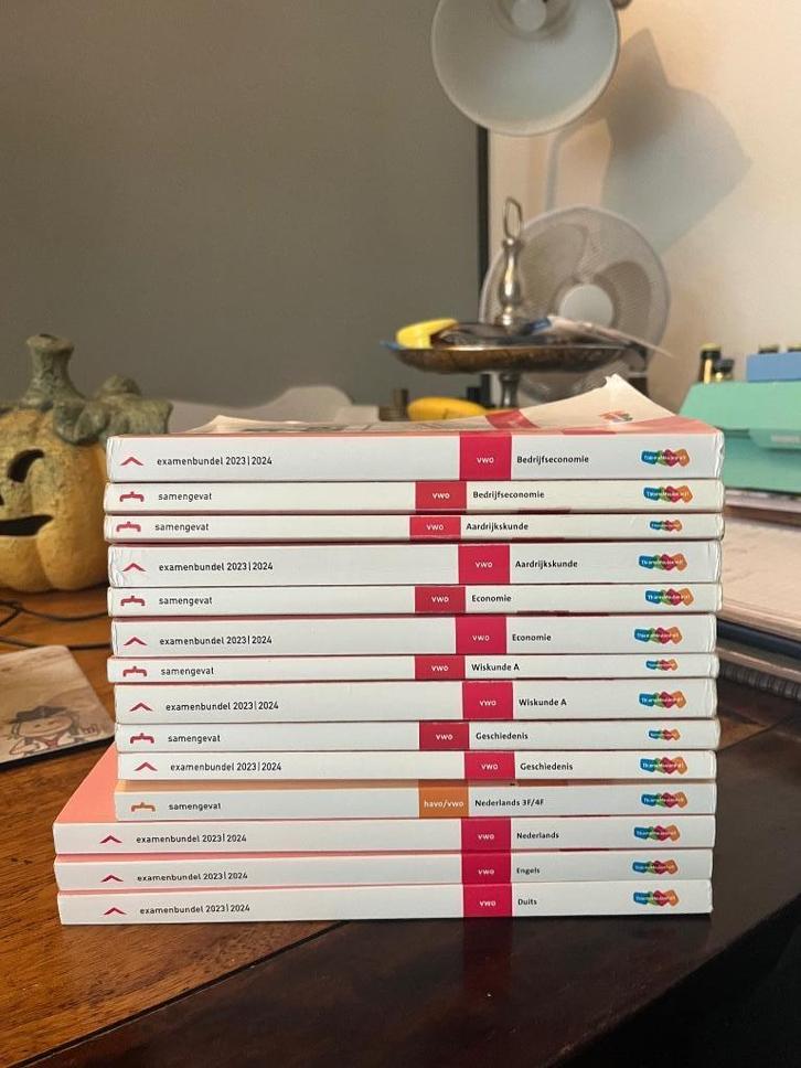Examenbundels en samengevat VWO 2023-2024, Boeken, Schoolboeken, Zo goed als nieuw, Overige vakken, VWO, Ophalen of Verzenden