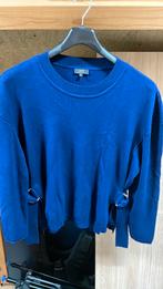 Aparte trui (44), Ophalen of Verzenden, Gedragen, Maat 42/44 (L), Blauw