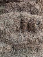 Hooibalen te koop, Dieren en Toebehoren, Dierenvoeding, Ophalen of Verzenden