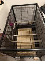 Ik wil vogel parkiet en kooi en spullen voor 155 euro, Geslacht onbekend, Parkiet, Tam