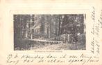 Arnhem Kettingbrug Sonsbeek 1901, Verzenden, Voor 1920, Gelopen, Gelderland