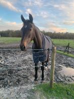 Epplejeck deken 100 gram maat 195, Dieren en Toebehoren, Paarden en Pony's | Dekens en Dekjes, Ophalen of Verzenden, Gebruikt