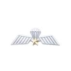 Embleem,Badge,Parawing,Brevet,A,Koninklijke,Luchtmacht, Verzamelen, Militaria | Algemeen, Embleem of Badge, Nederland, Luchtmacht