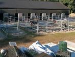 Stalling /pension /stalling aan het bos, Dieren en Toebehoren, Stalling en Weidegang, Stalling