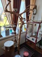 Vogels, Ophalen, Zo goed als nieuw, Hout, Overige typen