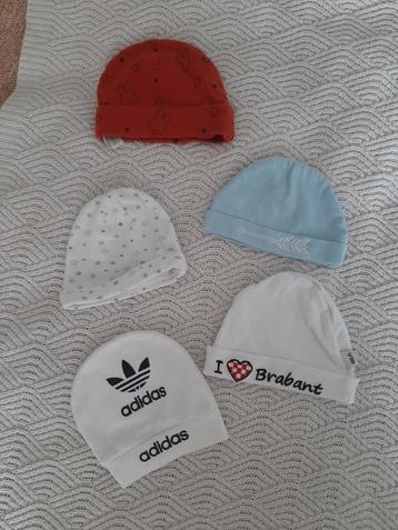 Mutsjes beschikbaar voor biedingen