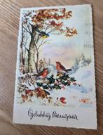 Roodborstjes en meesje in boom, Verzamelen, Verzenden, Gelopen