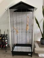 Vogelkooi, Dieren en Toebehoren, Vogels | Hokken en Kooien, Ophalen, Zo goed als nieuw, Metaal, Vogelkooi