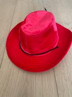 Roze Hoed - Carnaval of Line Dance, Kleding | Dames, Ophalen of Verzenden, Zo goed als nieuw, One size fits all, Hoed