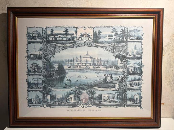 Rotterdamsche Diergaarde Schilderij, Antiek en Kunst, Kunst | Etsen en Gravures, Ophalen