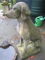 grote ZITTENDE JACHTHOND/POINTER/aged COTSWOLD ornament, Ophalen, Gebruikt, Steen, Dierenbeeld