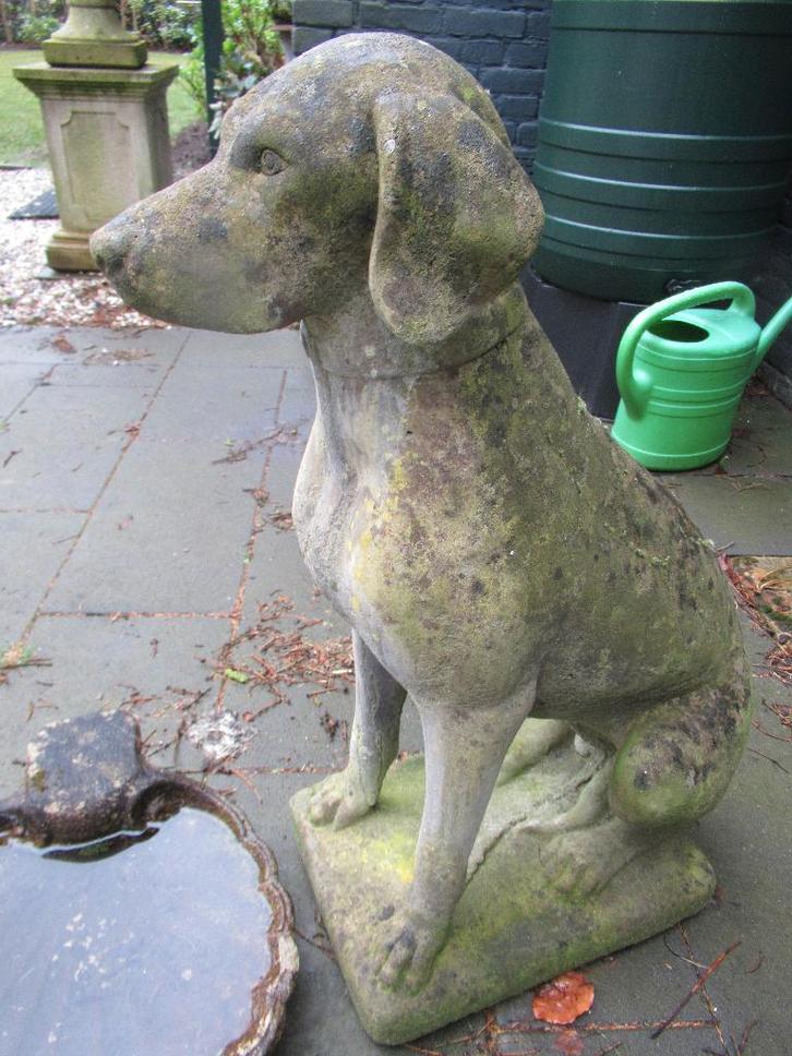 grote ZITTENDE JACHTHOND/POINTER/aged COTSWOLD ornament, Tuin en Terras, Tuinbeelden, Gebruikt, Dierenbeeld, Steen, Ophalen