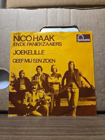 Nico Haak - Joekelille beschikbaar voor biedingen