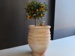 Terracotta aardewerk pot, Tuin en Terras, Bloempotten, Verzenden, Rond, Nieuw, Aardewerk