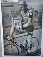 4 x iconische foto's (formaat A4) tour de france (Cor Vos), Verzamelen, Foto's en Prenten, Ophalen of Verzenden, 1960 tot 1980