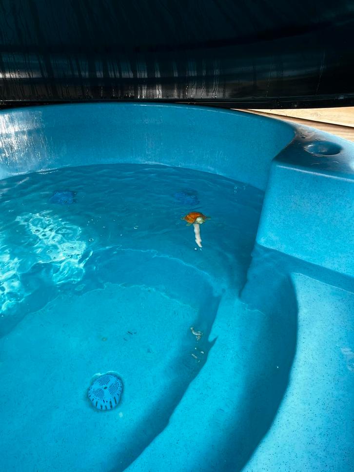 Kirami kunststof hottub Family thermowood bekleding., Tuin en Terras, Bubbelbaden en Hottubs, Gebruikt, Vast, Afdekzeil, Inbouw
