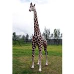 Giraffe 8 ft. – Giraf beeld Hoogte 230 cm, Ophalen, Nieuw