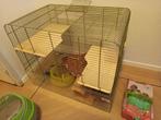 Hamster/muizen kooi, Kooi, Minder dan 75 cm, Zo goed als nieuw, Hamster