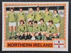 Panini sticker selectie Noord- Ierland, EK 1980, Ophalen of Verzenden, Zo goed als nieuw, Buitenlandse clubs, Poster, Plaatje of Sticker