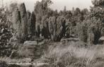 OOTMARSUM Springendal Jeneverbes, Verzenden, 1960 tot 1980, Ongelopen, Overijssel
