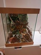 Mooi stevig multifunctioneel Terraium, Dieren en Toebehoren, Ophalen