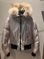 Goldbergh dames jas maat 38, Kleding | Dames, Wintersportkleding, Maat 38/40 (M), Ophalen of Verzenden, Jack, Gedragen