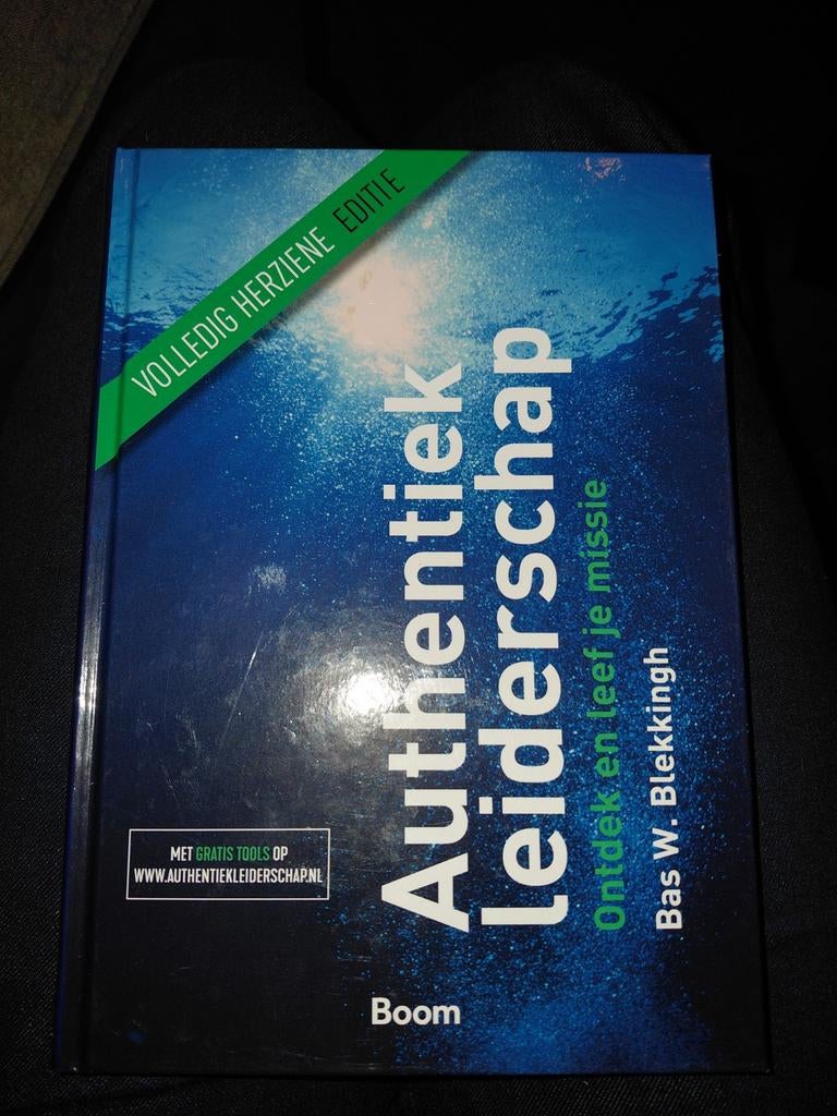 Authentiek Leiderschap - Bas W. Blekkingh, Boeken, Ophalen of Verzenden, Zo goed als nieuw, Bas W. Blekkingh