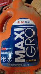 Maxigro  3l cobalt B12 aanvullend diervoeder schapen rundvee, Ophalen, Vee