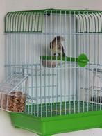 Edelzanger man incl kooi, Dieren en Toebehoren, Vogels | Overige Vogels, Mannelijk, Tropenvogel, Geringd