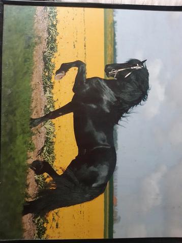 Hele mooie posters ingelijst beschikbaar voor biedingen