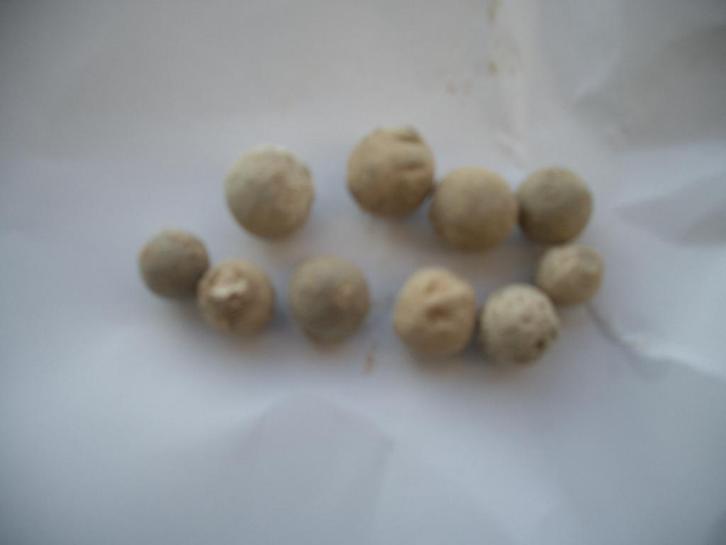 musket kogel lood napoleon austerliyz bodemvondst antiek, Verzamelen, Militaria | Algemeen, Landmacht, Hulzen of Bodemvondsten