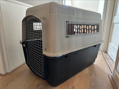 Petmate Ultra Vari Kennel – IATA goedgekeurd – L(91x64x69cm), Dieren en Toebehoren, Hondenbenches, Zo goed als nieuw, Ophalen