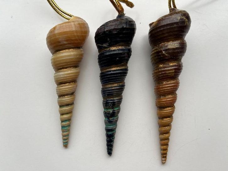 3 mooie kersthangers  turritella schelpen, Diversen, Kerst, Nieuw, Ophalen of Verzenden