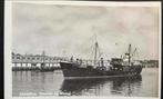IJmuiden  Vissershaven "Eveline" IJM  116, Ophalen of Verzenden