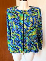 Mooi gekleurd vest maat 42, Ophalen of Verzenden, Zo goed als nieuw, Maat 42/44 (L)