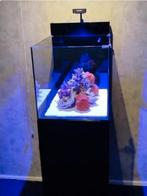 Aquarium Waterbox Nieuw!! Nog niet Gebruikt, Ophalen, Nieuw, Leeg aquarium
