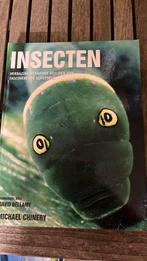 Insecten, Overige soorten