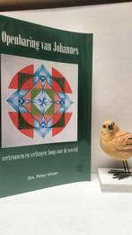 Visser, Drs. Peter; Openbaring van Johannes, Ophalen of Verzenden, Gelezen, Christendom | Protestants