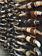 Hoorns longhorn texas mancave bullbar western longhoorn, Verzamelen, Dierenverzamelingen, Ophalen, Nieuw, Wild dier, Gewei of Kop