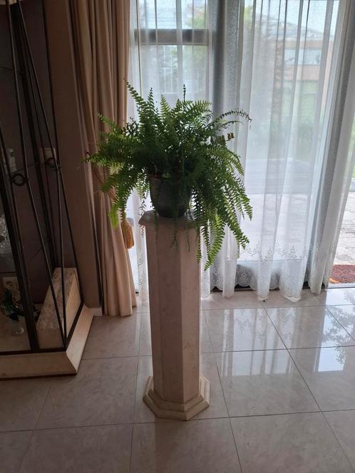 Plantenstandaard met Varen, Huis en Inrichting, Woonaccessoires | Zuilen en Pilaren, Gebruikt, Ophalen