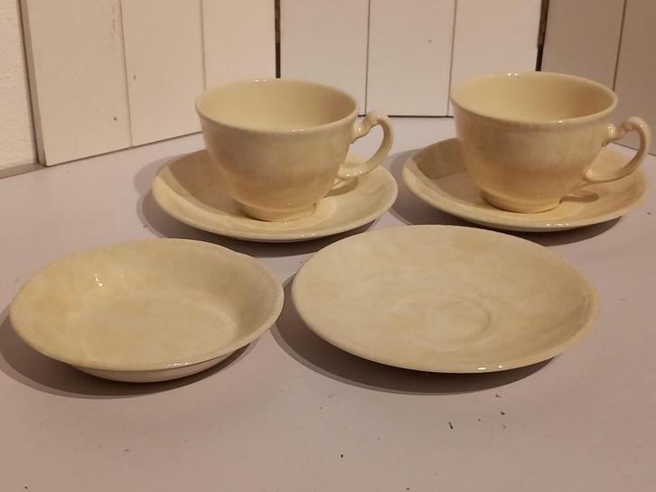 Wood and Sons Servies gele plant opdruk., Huis en Inrichting, Keuken | Servies, Zo goed als nieuw, Kop(pen) en/of Schotel(s), Overige stijlen