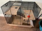 Hamsterkooi . 50x30x45cm, Dieren en Toebehoren, Knaagdieren en Konijnen | Hokken en Kooien, Kooi, Gebruikt, Ophalen, Minder dan 60 cm