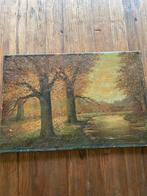 Mooi schilderij, Ophalen of Verzenden