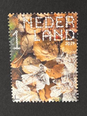2853 Nederland 2019 NVPH 3779 - Ratelpopulier - gestempeld beschikbaar voor biedingen